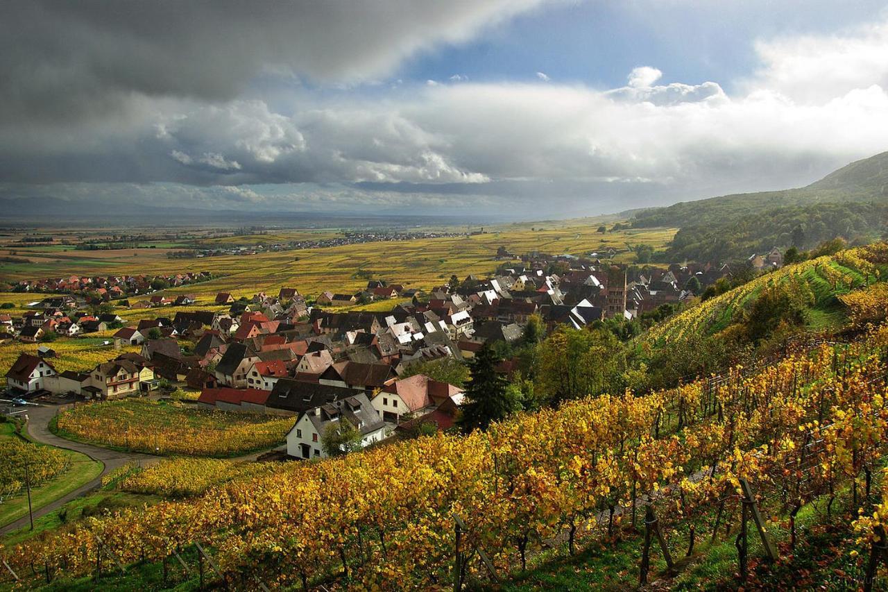 Chez Christian Breitenbach-Haut-Rhin Exterior foto